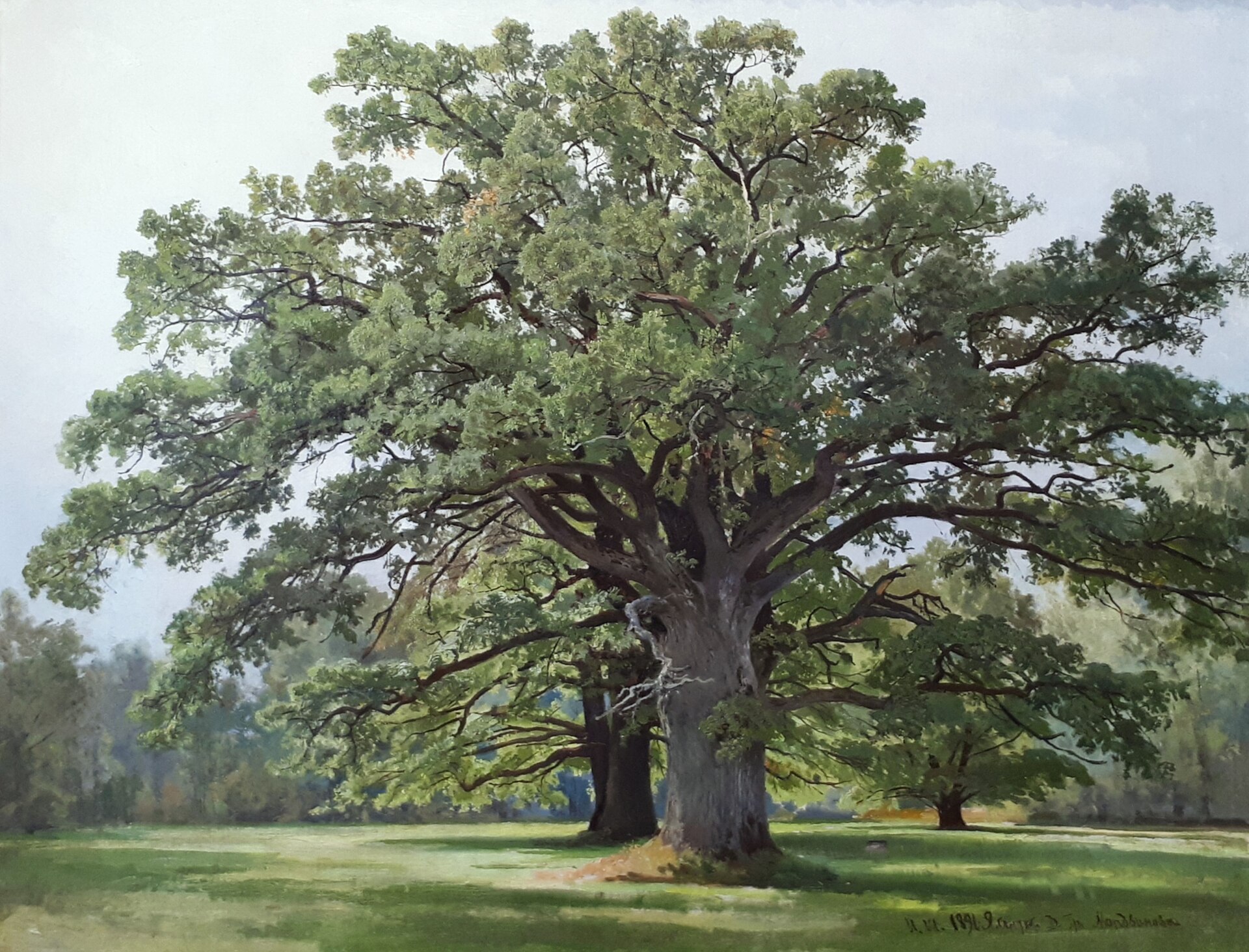 0597Fc. Shishkin I.I. Park of Count Mordvinov's Dacha, 1891