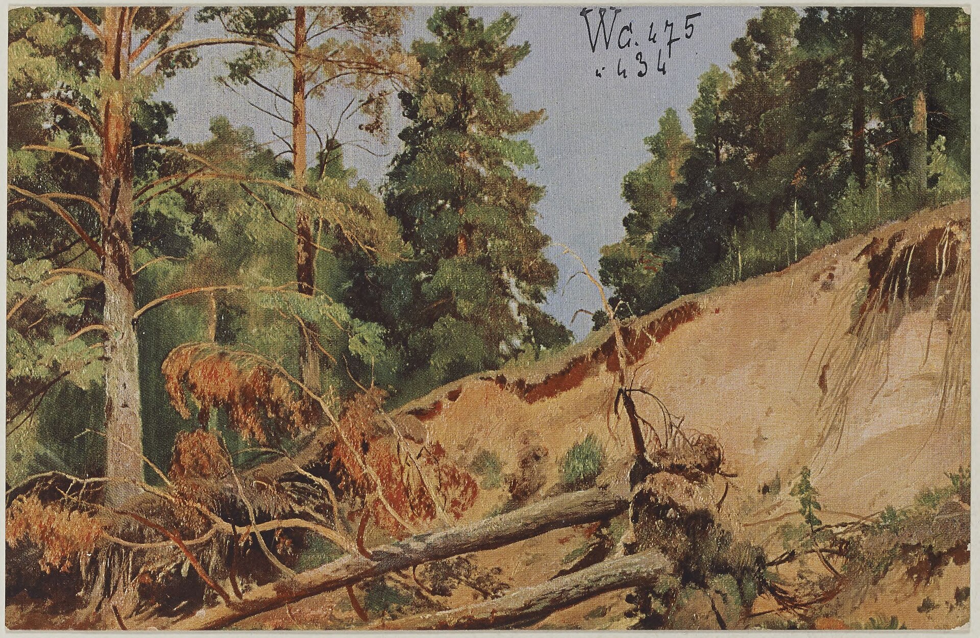2 albums contenant 523 cartes postales de France (301), d'Italie (65), de Suisse (55), de